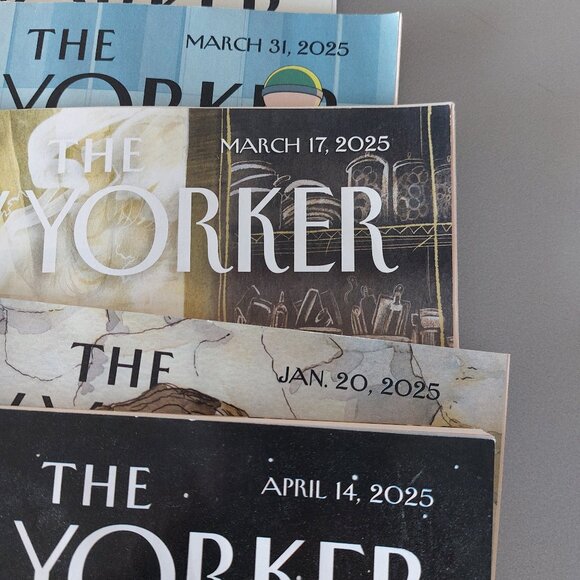 The New Yorker Magazine 2025 BUNDLE OF 7 - Jan - April - Picture 5 of 9
